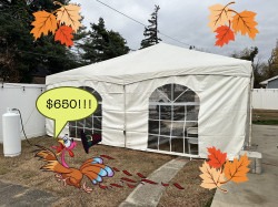 Thanksgiving Special 20x20